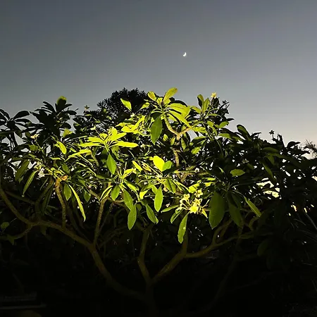 Appartamento Mi Casita De Chimaca *