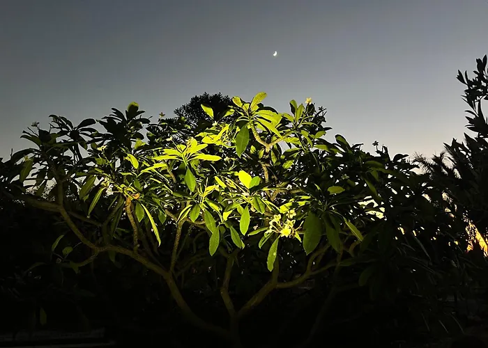 Appartamento Mi Casita De Chimaca *